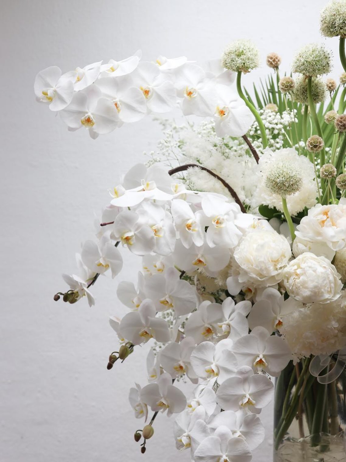 White orchids in the atelier